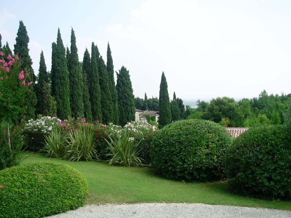 Villa Archi B&B San Pietro in Cariano Dış mekan fotoğraf